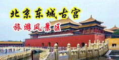 我要看大鸡巴搞逼中国北京-东城古宫旅游风景区